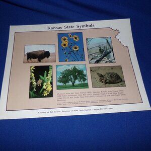 Vintage Kansas State Symbols Leaf - Buffalo, Bee, Sunflower, Cottonwood, etc.